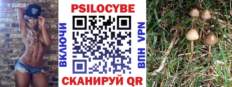 Псилоцибиновые грибы MAGIC MUSHROOMS  Купить  Новохопёрск 